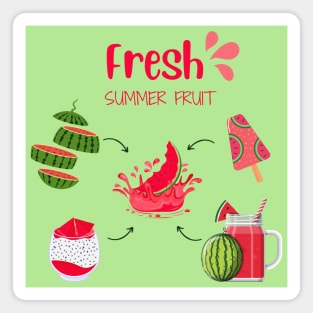 Watermelon Fresh Summer Fruit Magnet